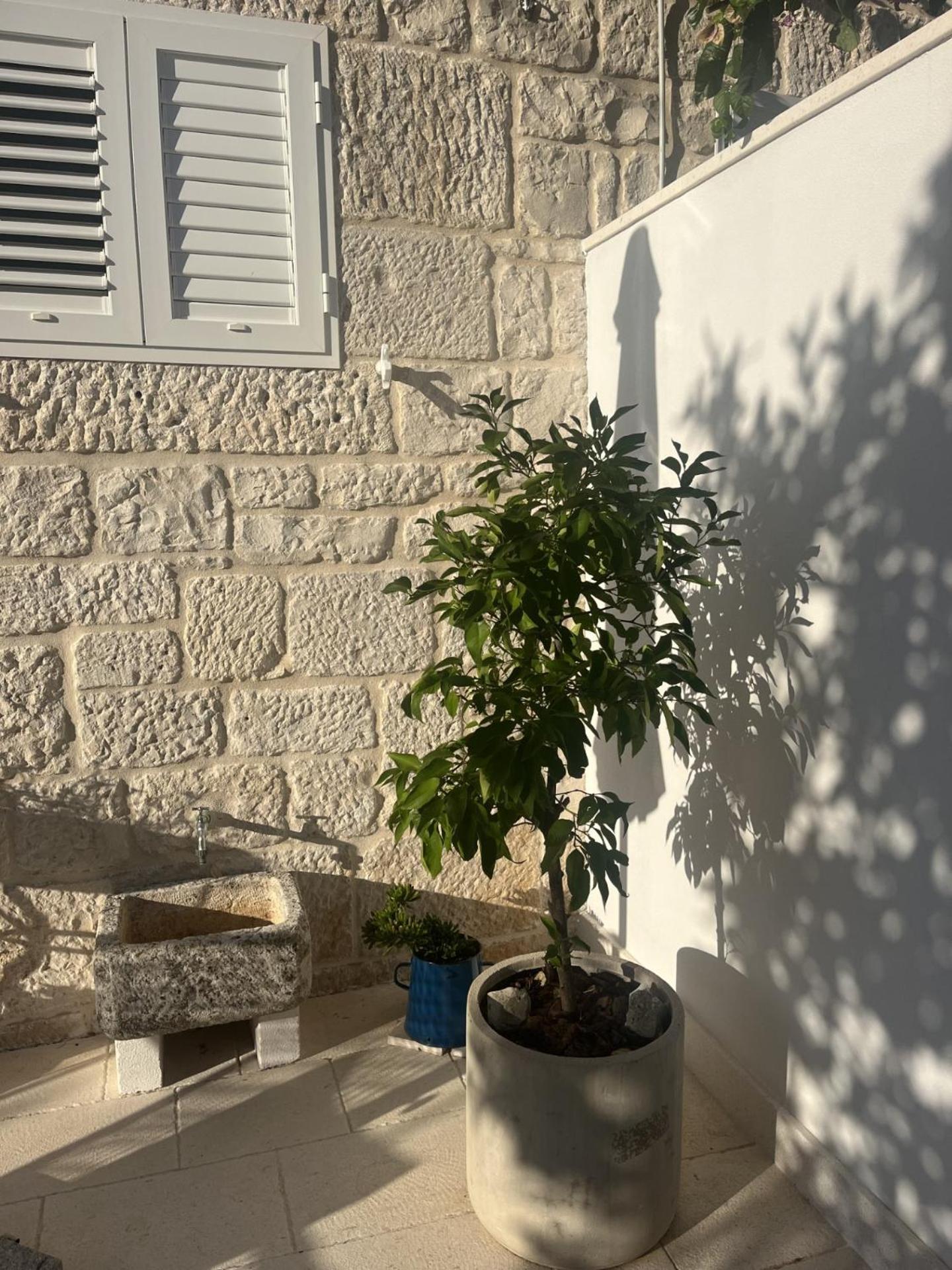 Apartment On The Sunny Side Korčula Kültér fotó